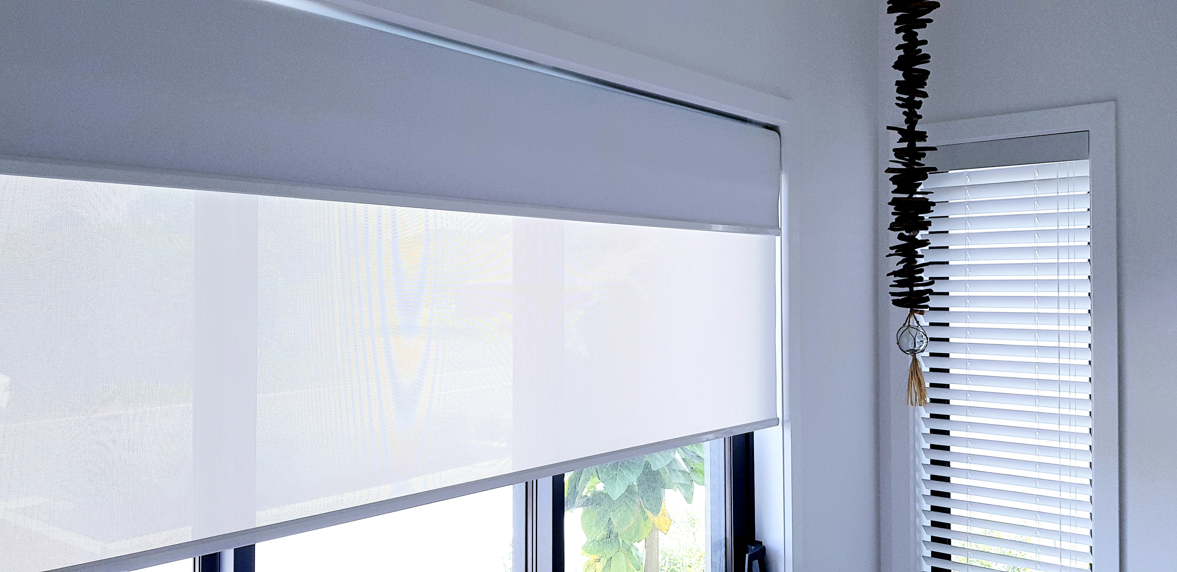 Dual deals roller blinds